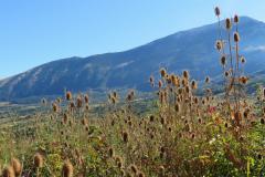 2020-09-Urlaub-Abbruzzen-29