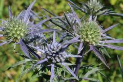 2020-09-Urlaub-Abbruzzen-33