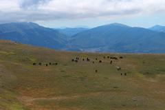 2020-09-Urlaub-Abbruzzen-47