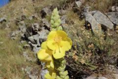 2020-09-Urlaub-Abbruzzen-63