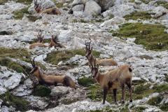 2020-09-Urlaub-Abbruzzen-128