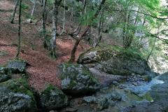 2020-09-Urlaub-205