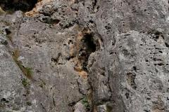 IMG_20200917_130046