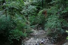 IMG_20200918_095334