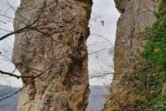 IMG_20201105_145602