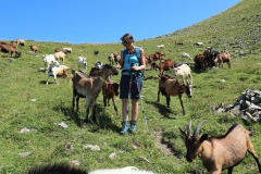 Haute-Savoie-29