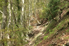 Haute-Savoie-183