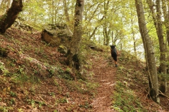 Haute-Savoie-184