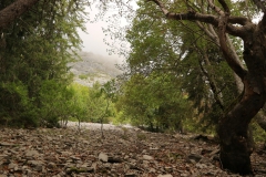 Haute-Savoie-185