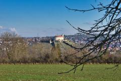 IMG_4952