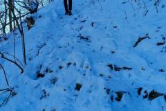 IMG_20210214_114134