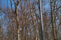IMG_20210214_115418
