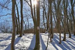 IMG_20210214_115711