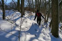 IMG_20210214_121908