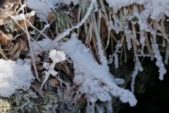IMG_20210214_122243