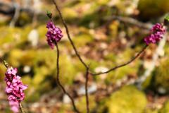 IMG_5072
