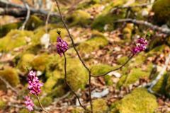 IMG_5073