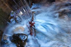 IMG_5108