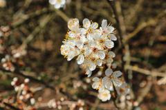 IMG_5146