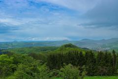 IMG_5455
