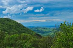 IMG_5456