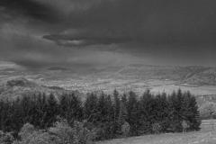 IMG_5457