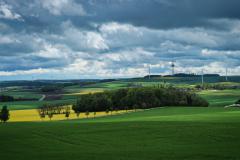 IMG_5461