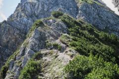 IMG_3360