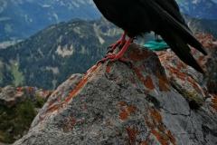 IMG_20210627_134248