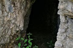 IMG_20210718_141851