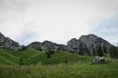 IMG_3768