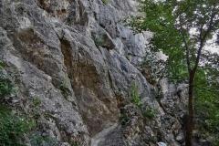 IMG_20210719_110725