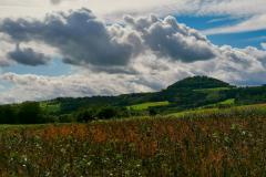 IMG_20210808_111309