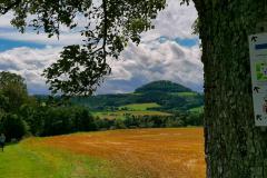 IMG_20210808_112133