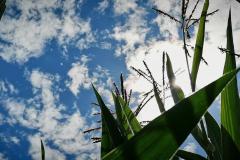 IMG_20210808_114538