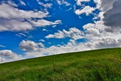 IMG_20210808_115634-1