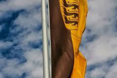 IMG_20210808_122521