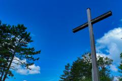 IMG_5595