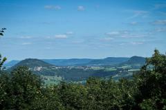 IMG_5616