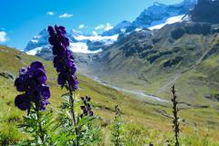 Montafon-Wanderung-Hohes-Rad-22