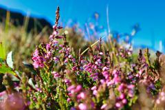 Montafon-Wanderung-Hohes-Rad-3