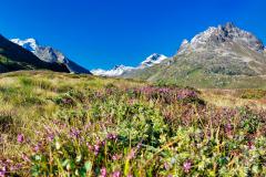 Montafon-Wanderung-Hohes-Rad-4