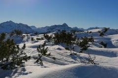 Schneeschuhtouren-Allgaeu-33
