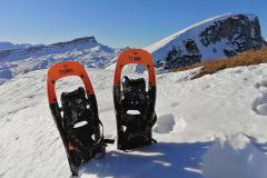 Schneeschuhtouren-Allgaeu-42