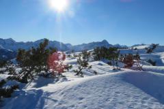 Schneeschuhtouren-Allgaeu-46