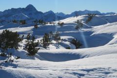 Schneeschuhtouren-Allgaeu-59