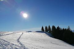 Schneeschuhtouren-Allgaeu-10