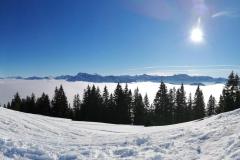 Schneeschuhtouren-Allgaeu-16