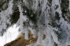 Schneeschuhtouren-Allgaeu-19