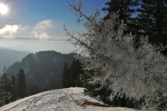 Schneeschuhtouren-Allgaeu-25